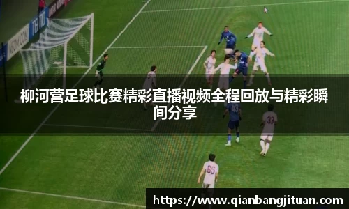 新足球直播在线观看