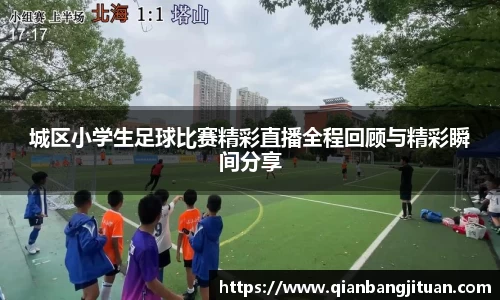 新足球体育直播