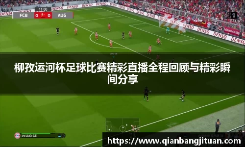 新足球直播在线观看