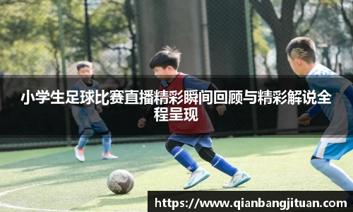 新足球体育直播