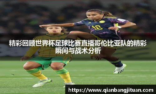 新足球直播在线观看