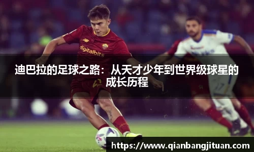 新足球直播在线观看